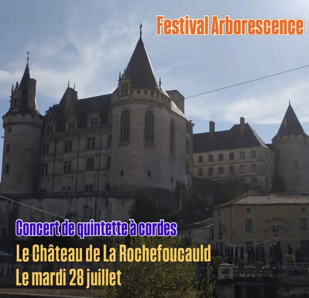 Concert + visite/piqu ...
