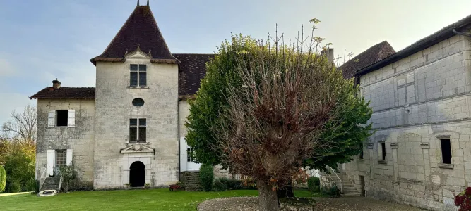 Bonnes's castle