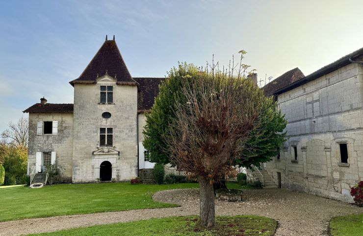 Château de Bonnes