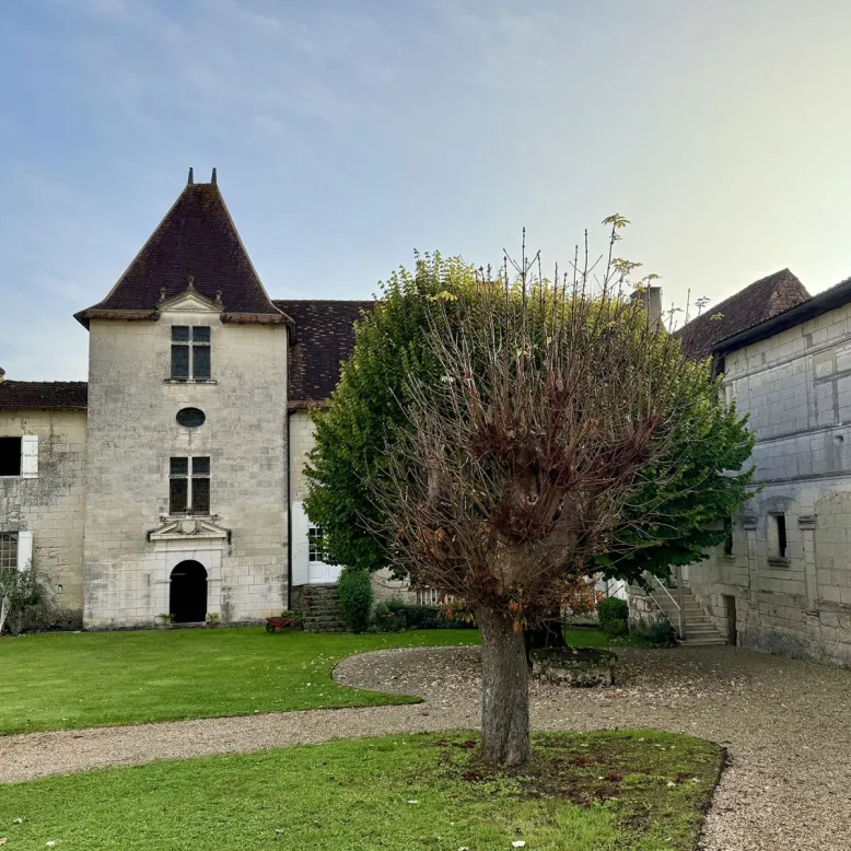 Bonnes's castle