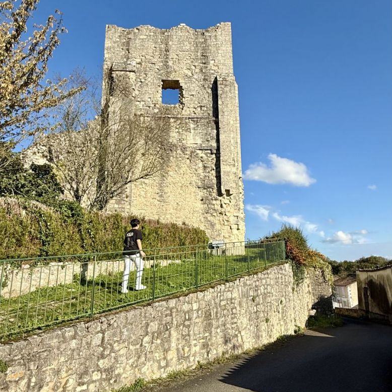 Donjon ou Tour du Breuil