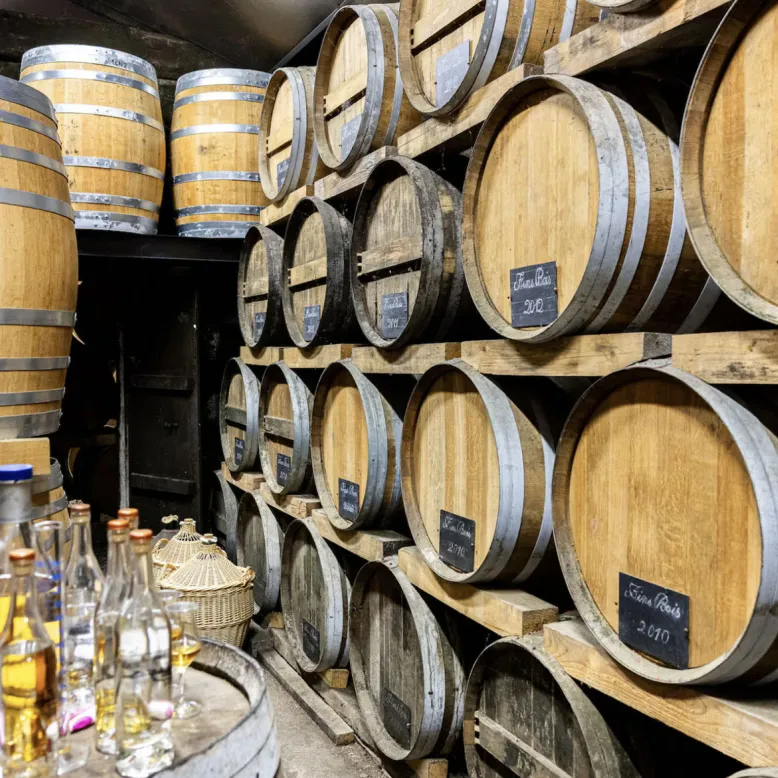 Distillerie les 1309