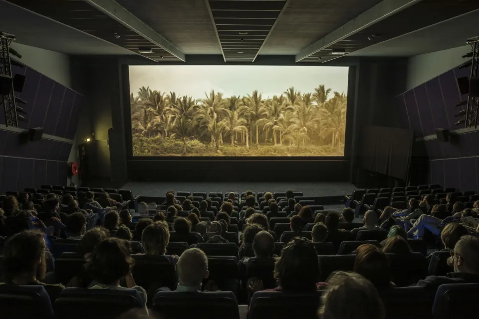 Le Cinéma de la Cité