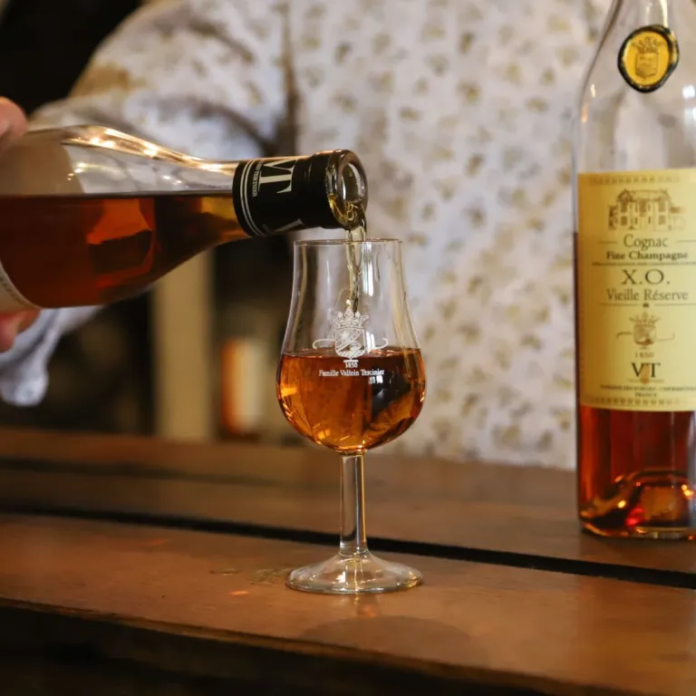 Visit to the cellars and tasting of Cognac: an ...