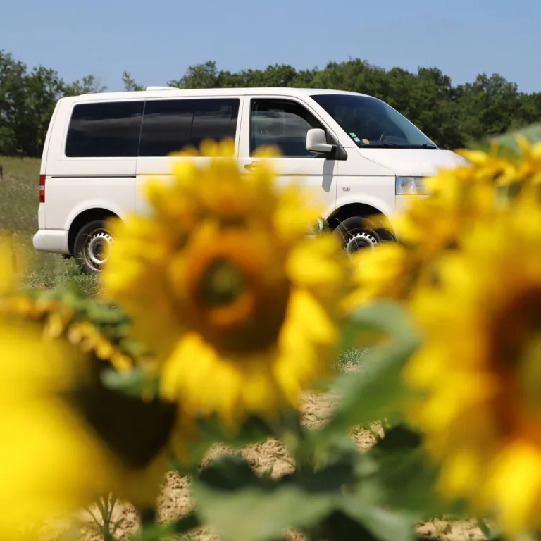 2 Day Road Trip in North Charente: Escape and ...