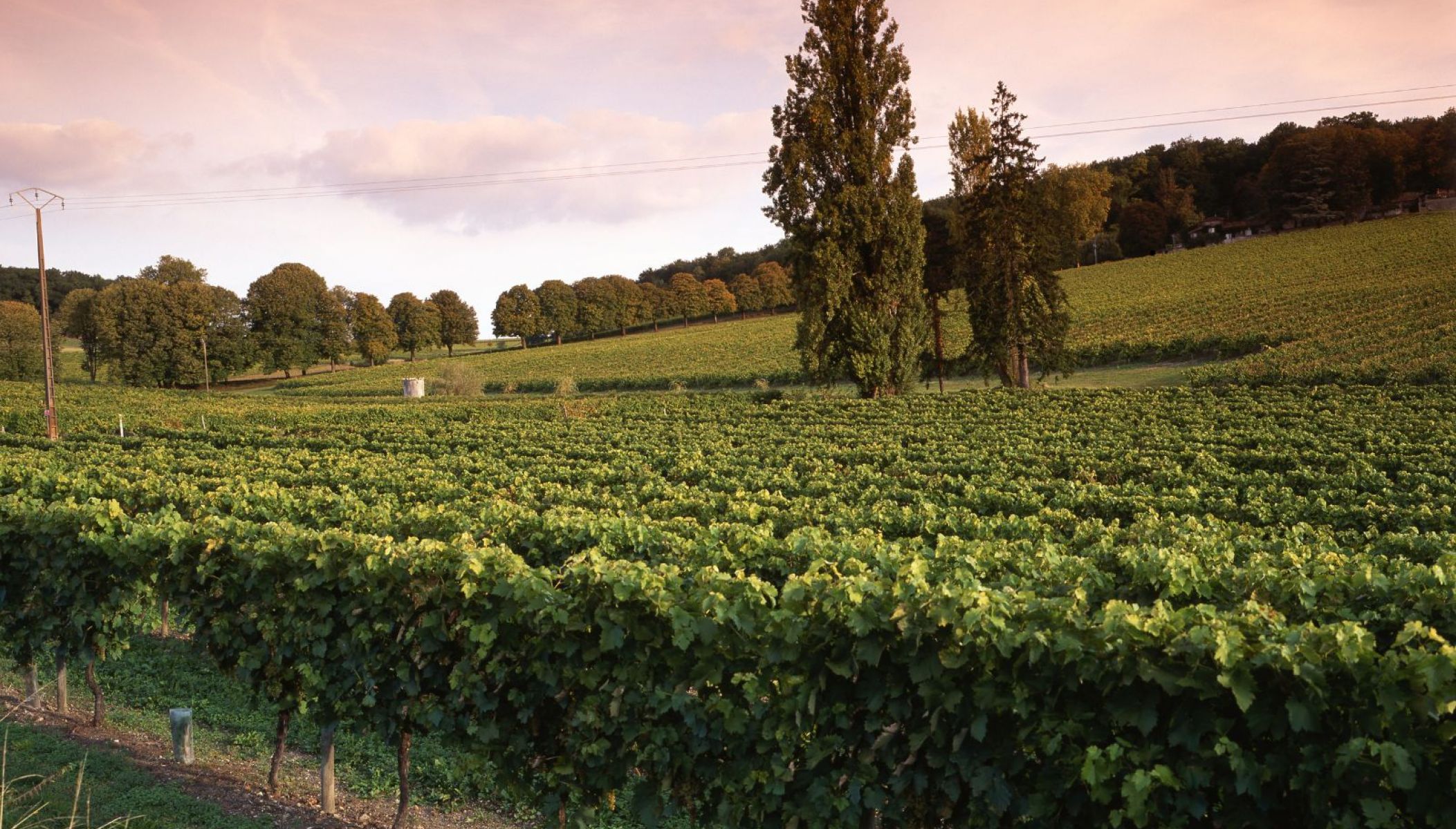 What to do in Charente in autumn?