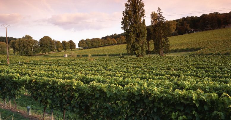 Que faire en Charente en automne ?