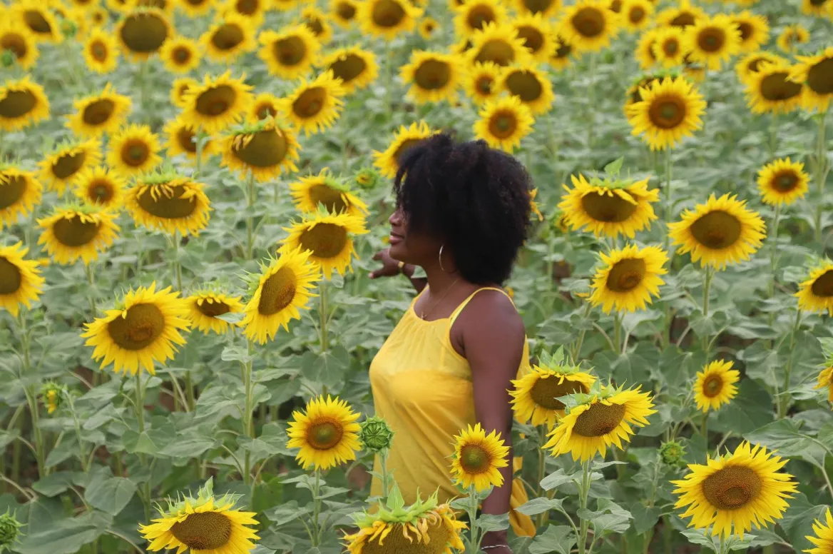 instagramable photo spots charente