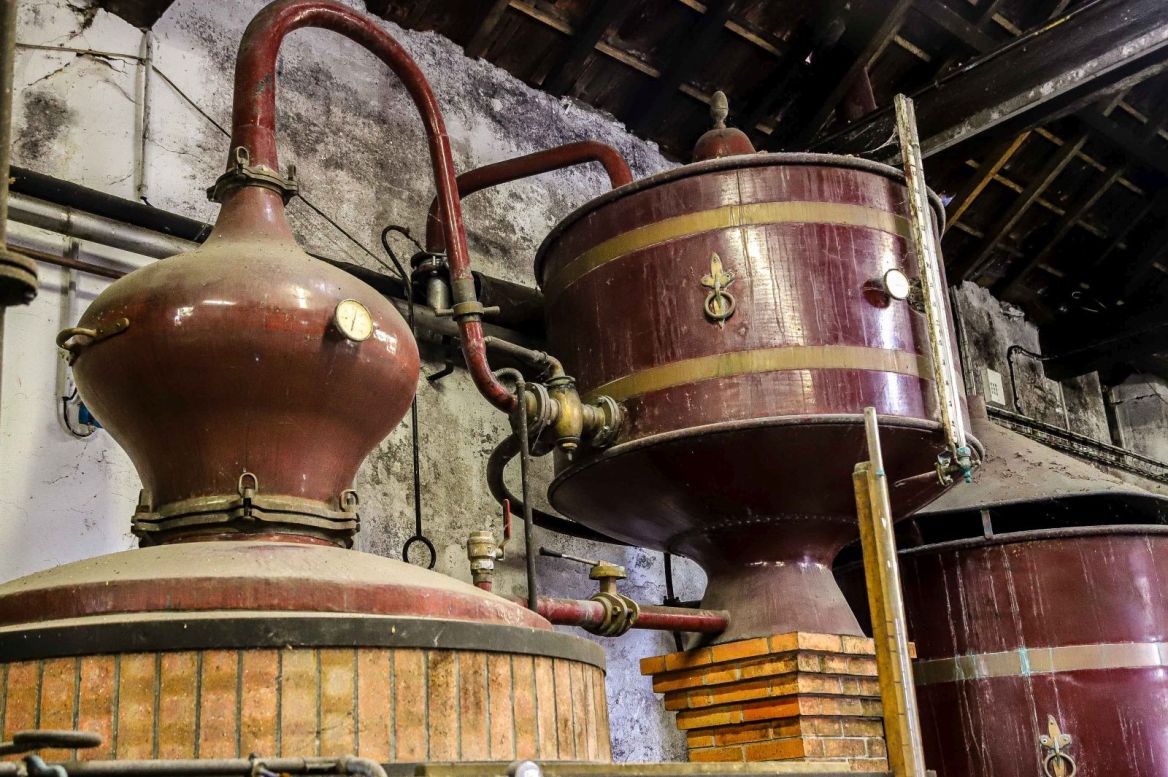 10 expériences en Charente