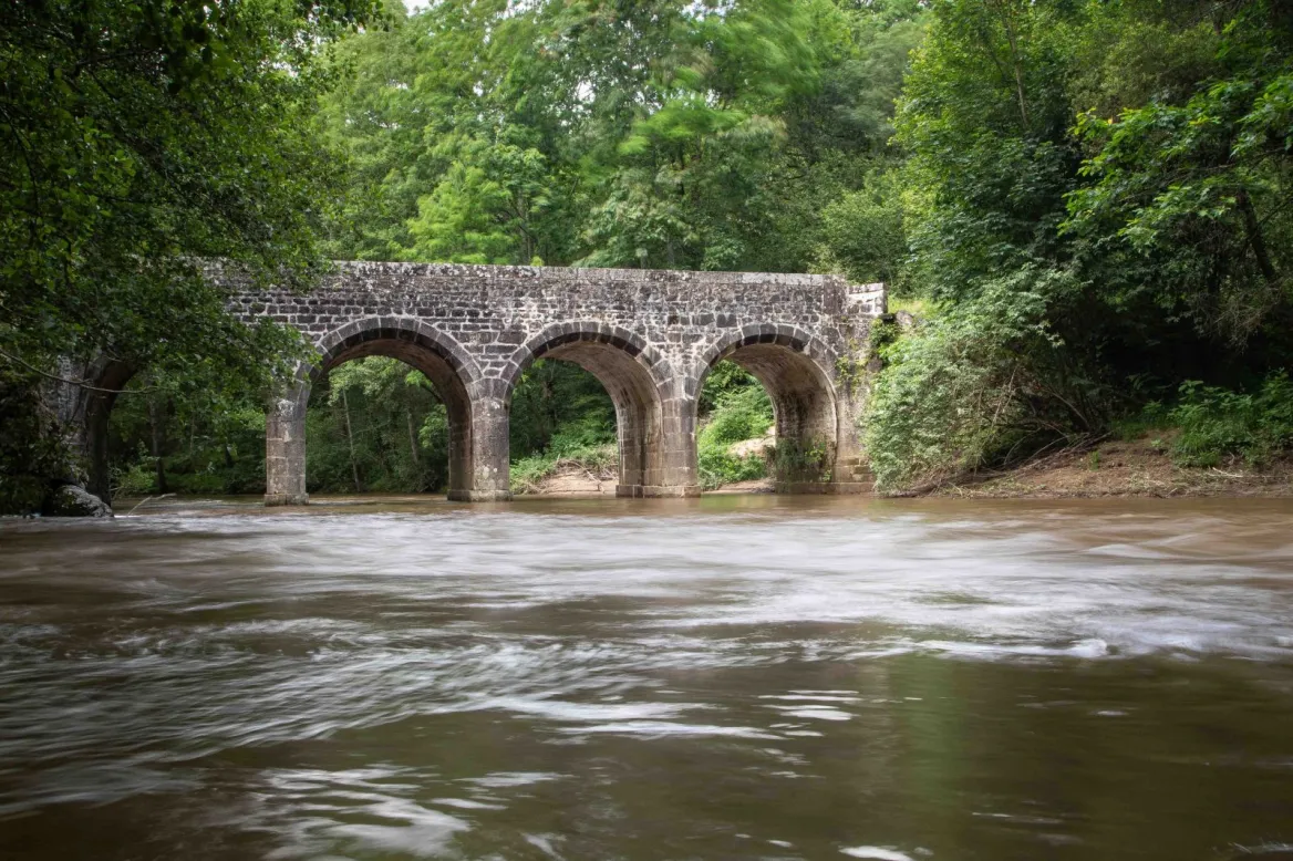 fishing in Charente