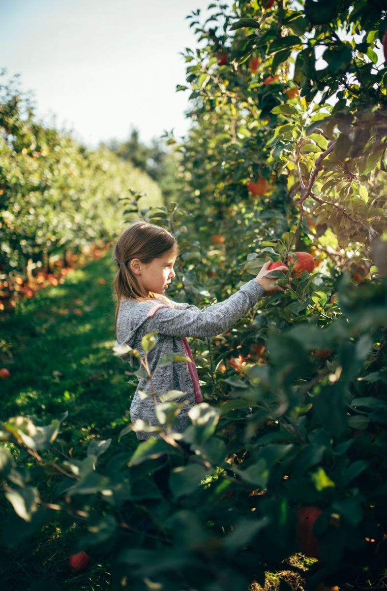 charente with children