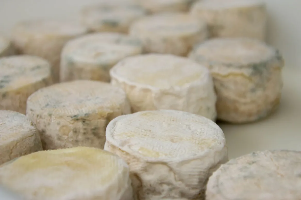 Charente gastronomy