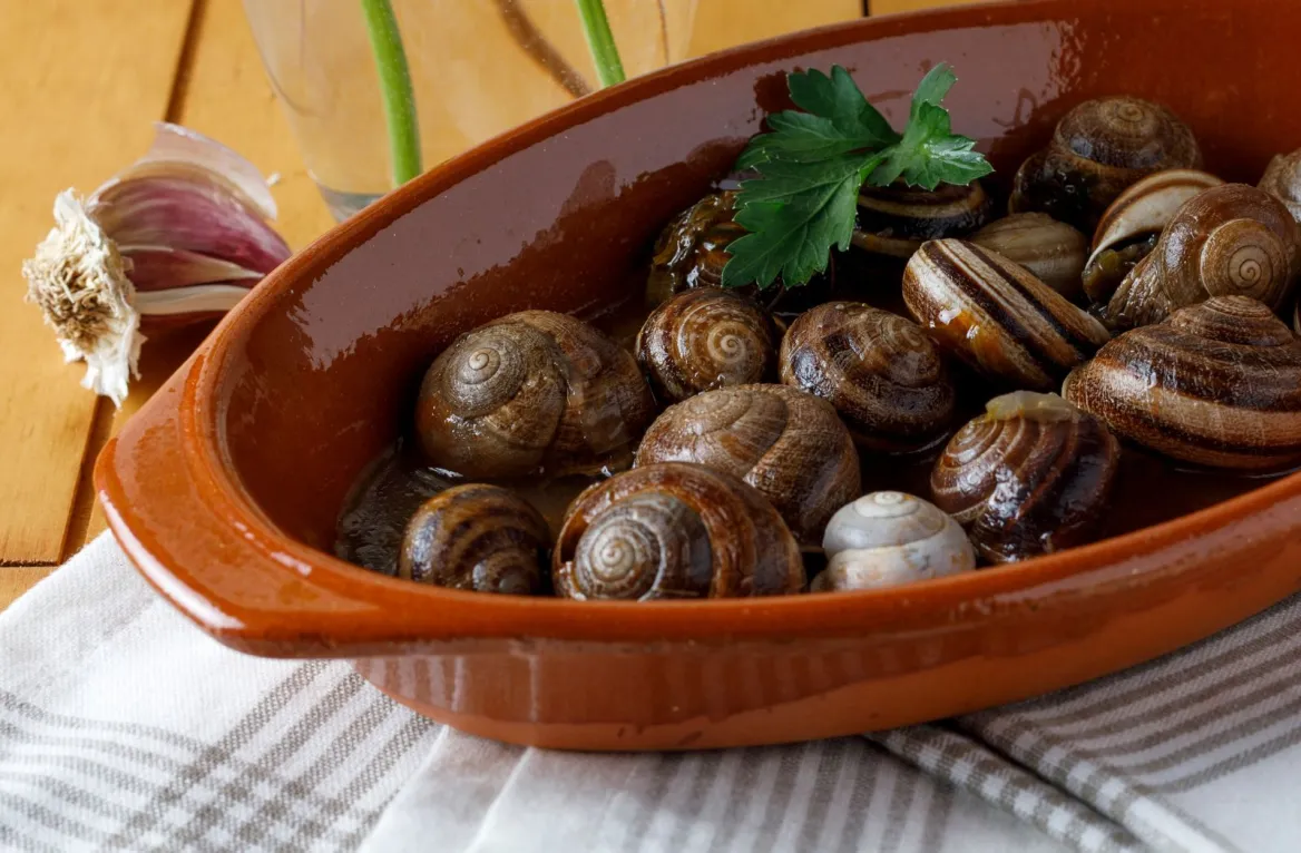 snail
