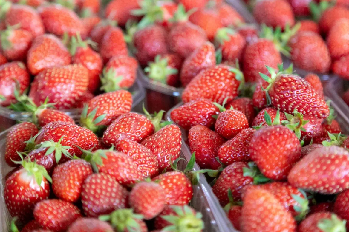 marchés charente