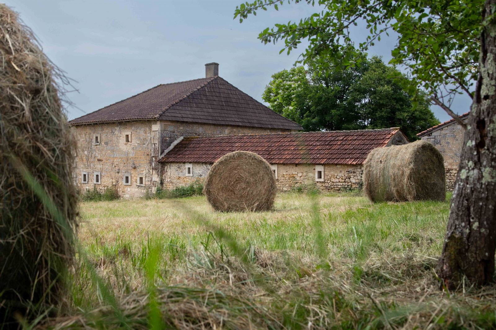 Torsac Countryside
